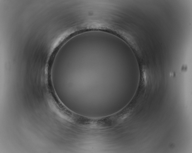 X0000111230678200907021359