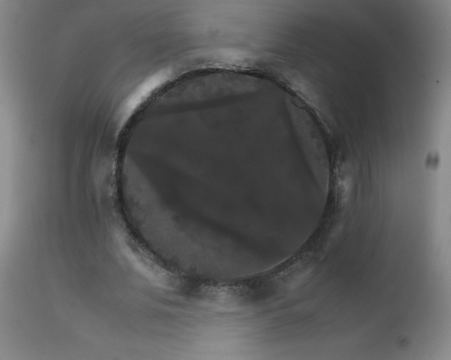 X0000111230679200907021359