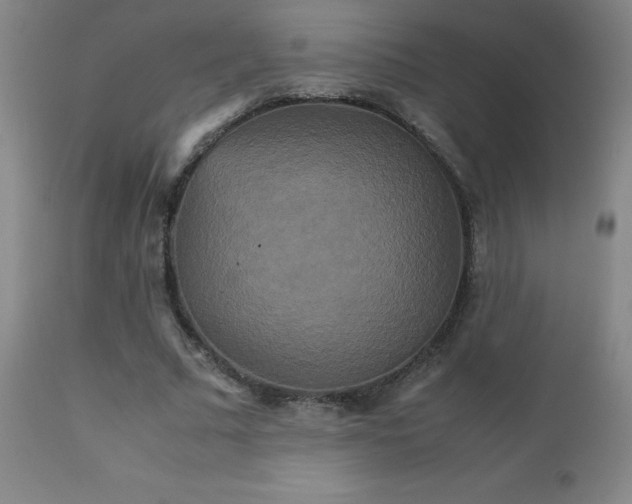 X0000111230681200907021359