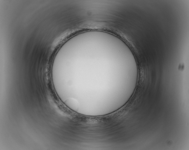 X0000111230682200907021359