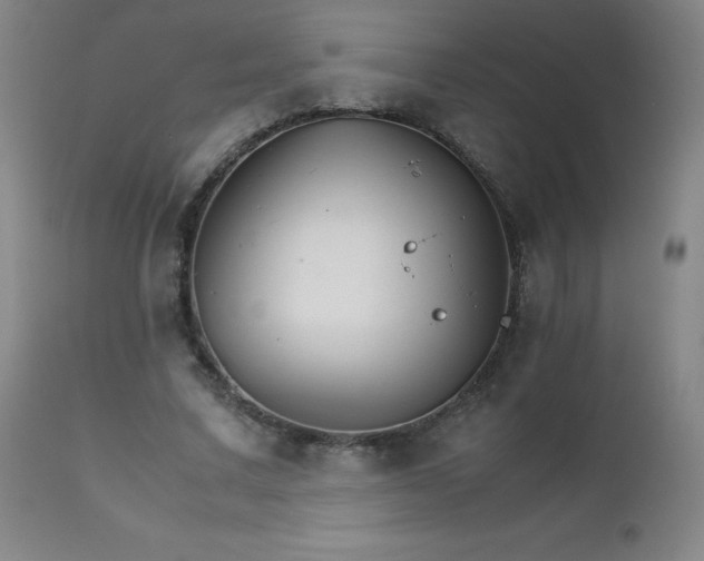 X0000111230683200907021359