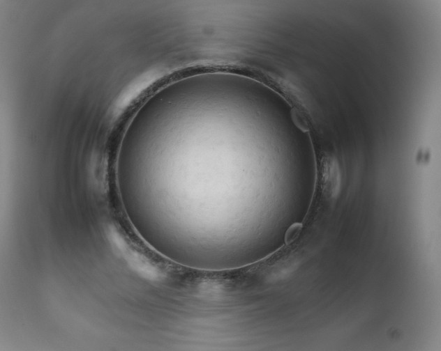 X0000111230684200907021359