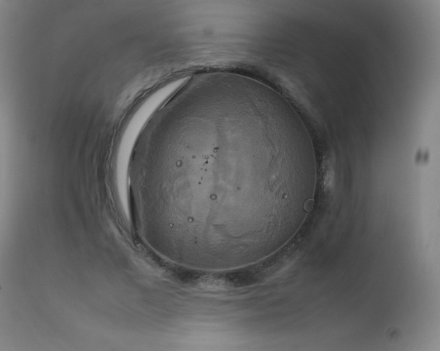 X0000111230685200907021359