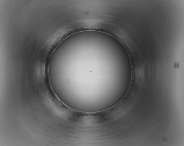 X0000111230686200907021359