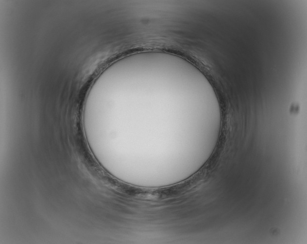 X0000111230687200907021359