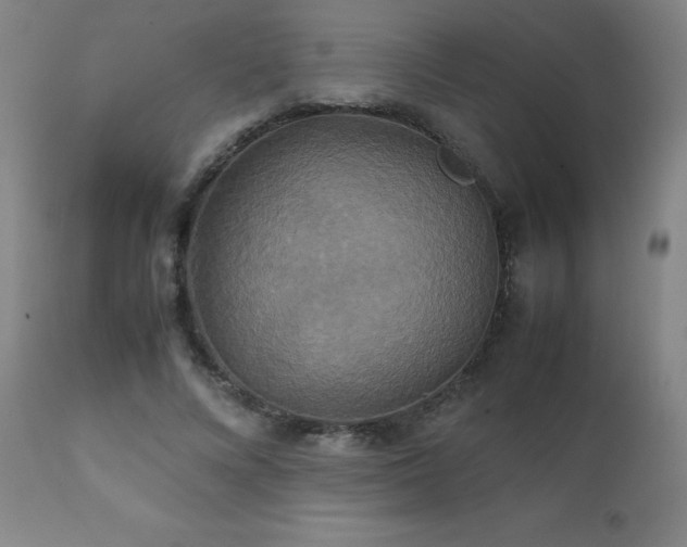 X0000111230688200907021359