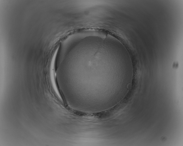 X0000111230689200907021359