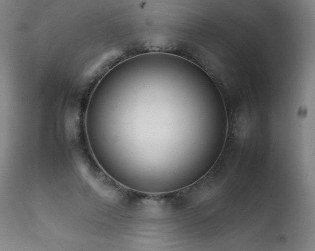 X0000111230690200907021359
