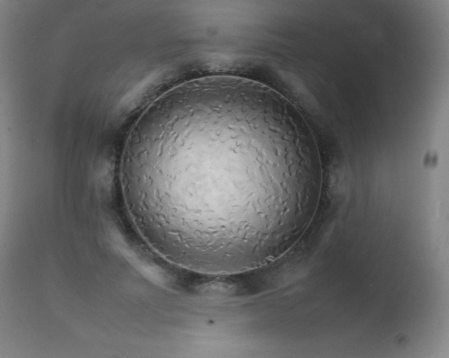X0000111230691200907021359
