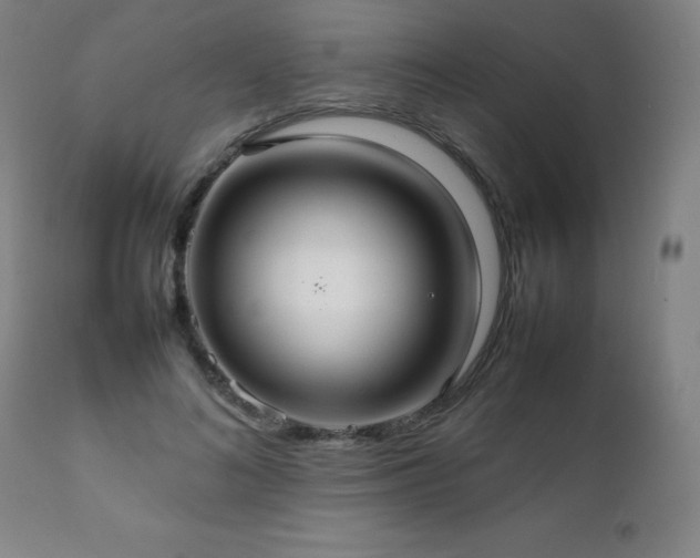 X0000111230692200907021359