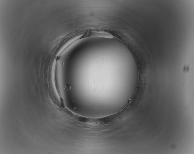 X0000111230693200907021359