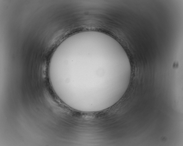 X0000111230694200907021359