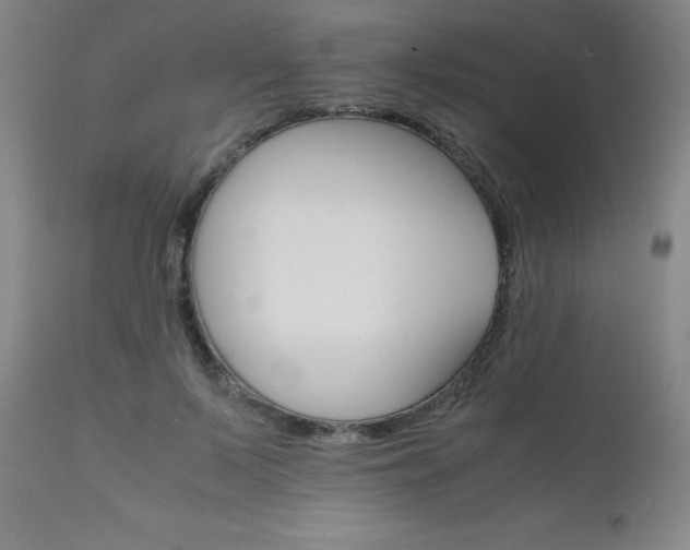 X0000111230695200907021359