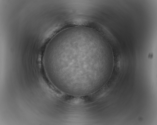 X0000111230696200907021359