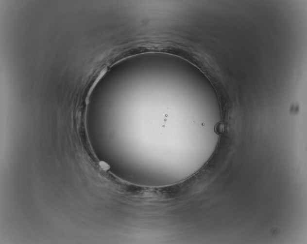X0000111230697200907021359
