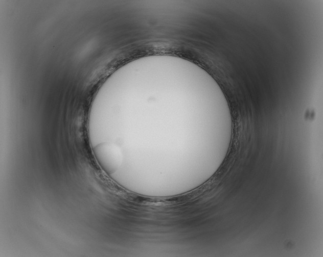 X0000111230698200907021359