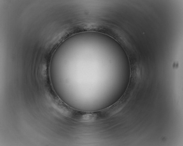 X0000111230700200907021359