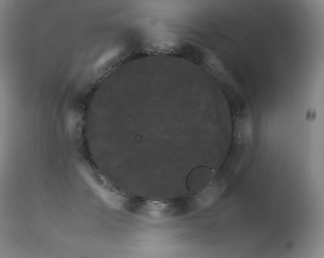 X0000111230701200907021359