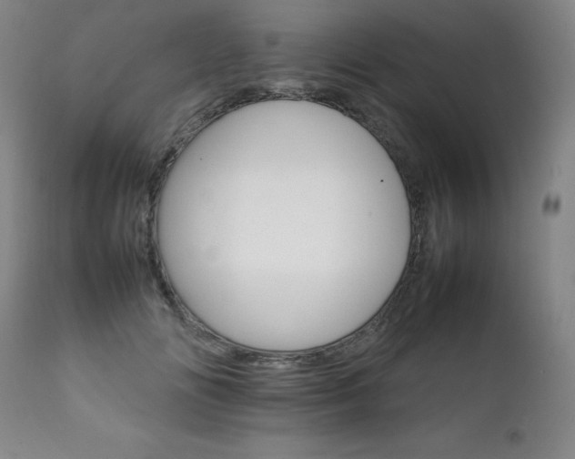X0000111230702200907021359