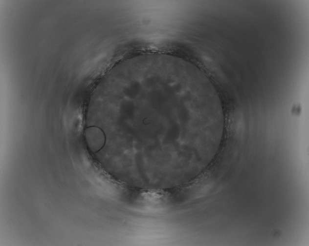 X0000111230703200907021359