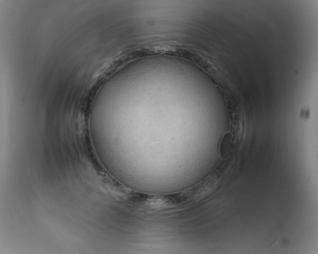 X0000111230704200907021359