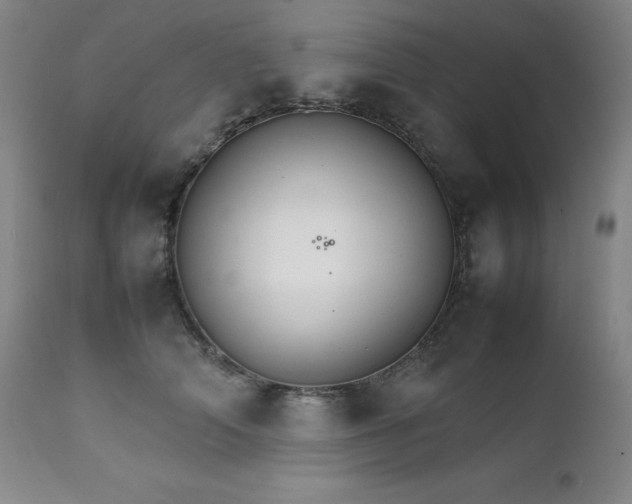X0000111230706200907021359