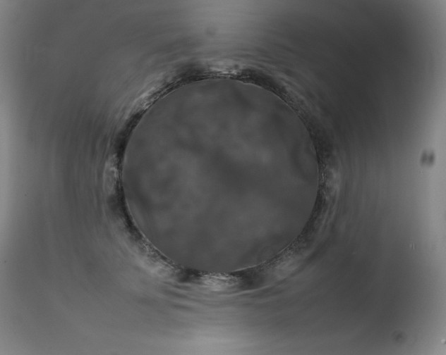 X0000111230707200907021359