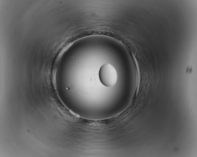 X0000111230708200907021359