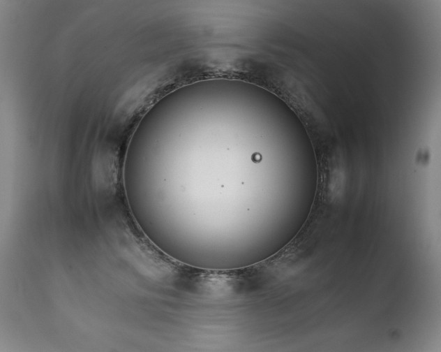 X0000111230710200907021359