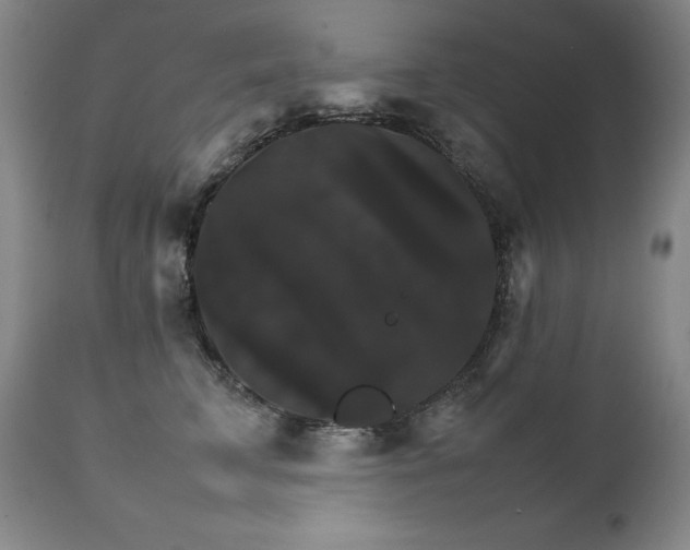 X0000111230711200907021359