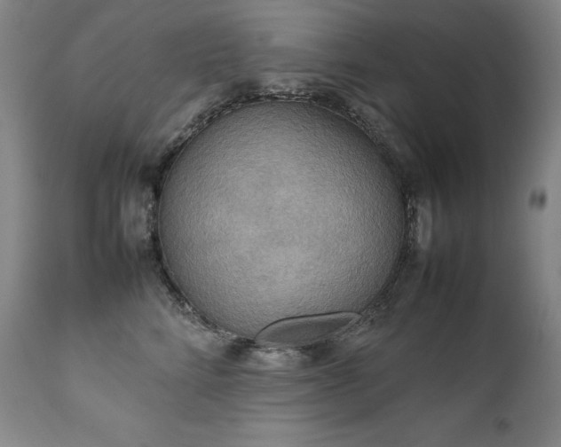 X0000111230712200907021359