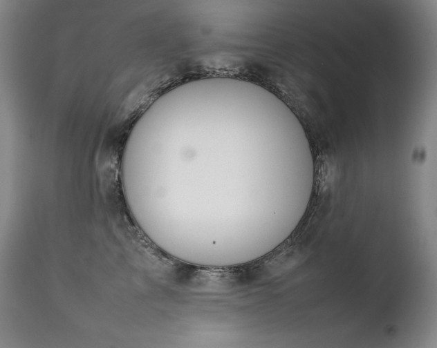 X0000111230713200907021359