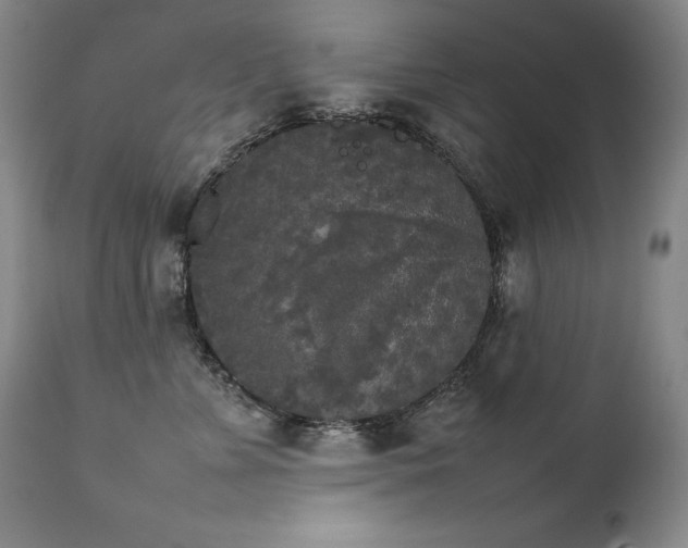 X0000111230715200907021359