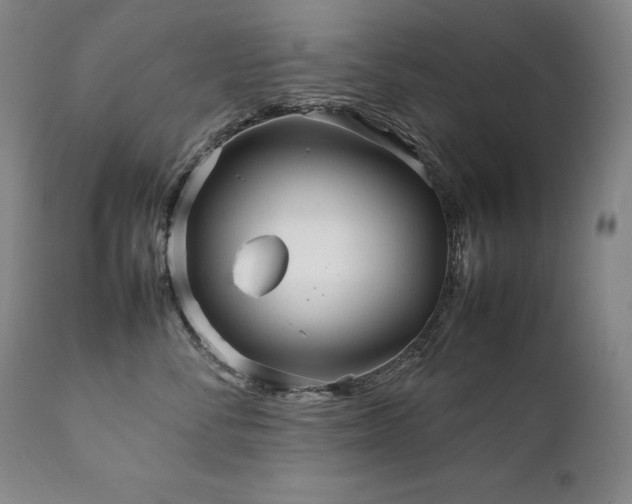 X0000111230716200907021359