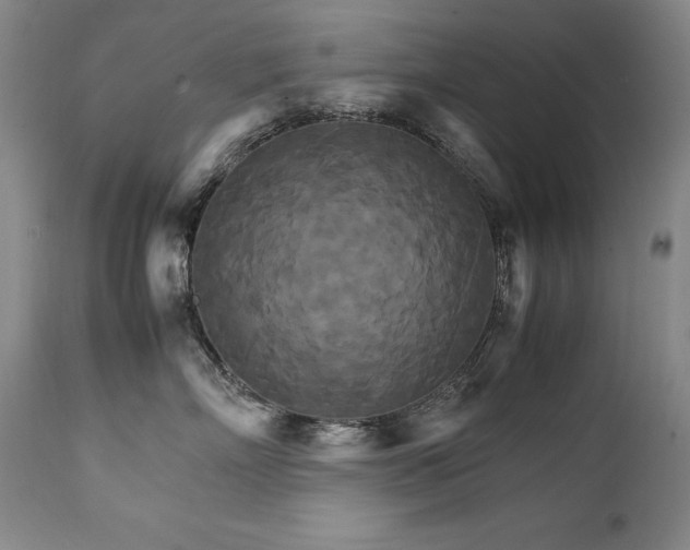 X0000111230718200907021359