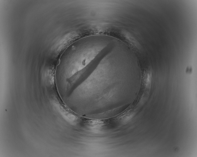 X0000111230719200907021359