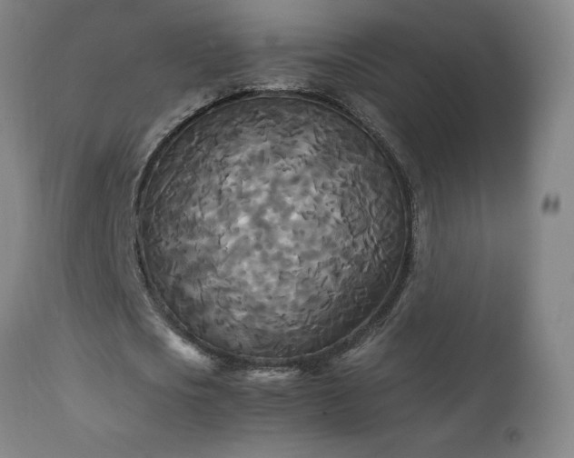 X0000111230721200907021358