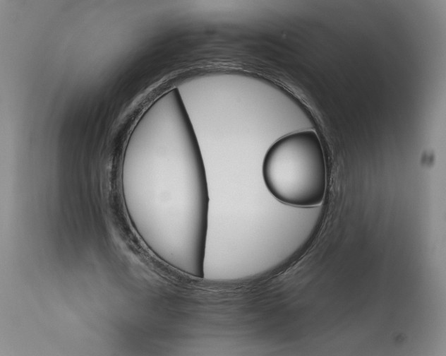 X0000111230722200907021358