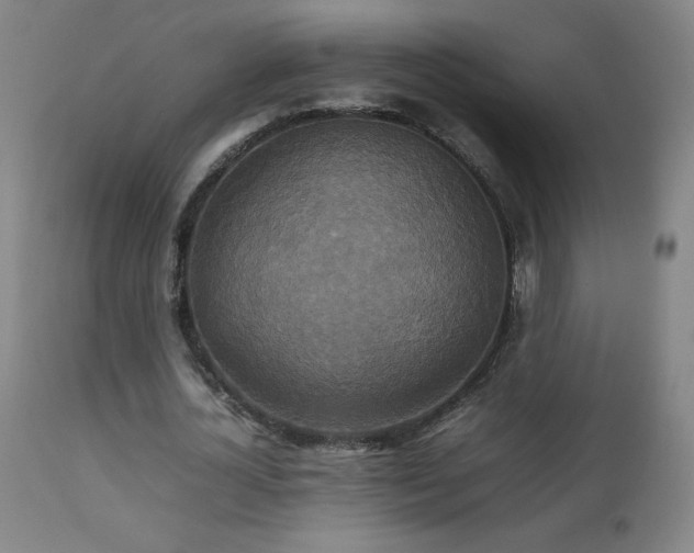X0000111230724200907021358