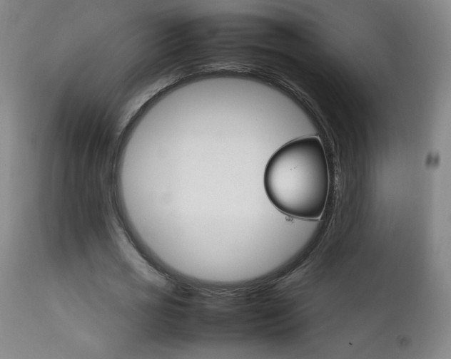 X0000111230725200907021358
