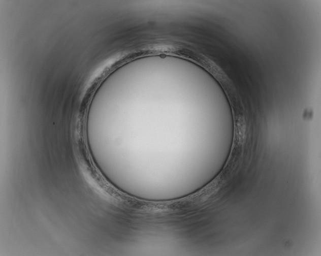 X0000111230726200907021358