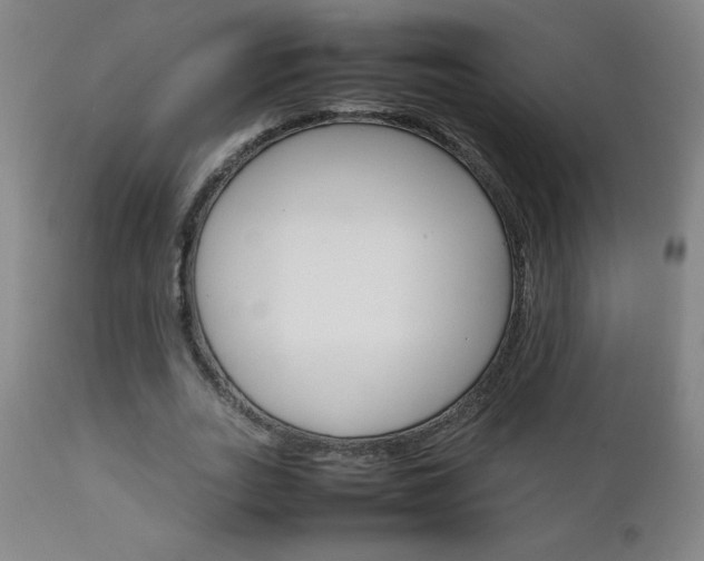 X0000111230727200907021358