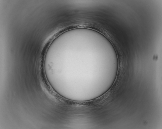 X0000111230730200907021358