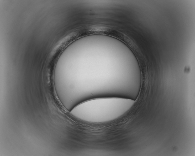 X0000111230731200907021358