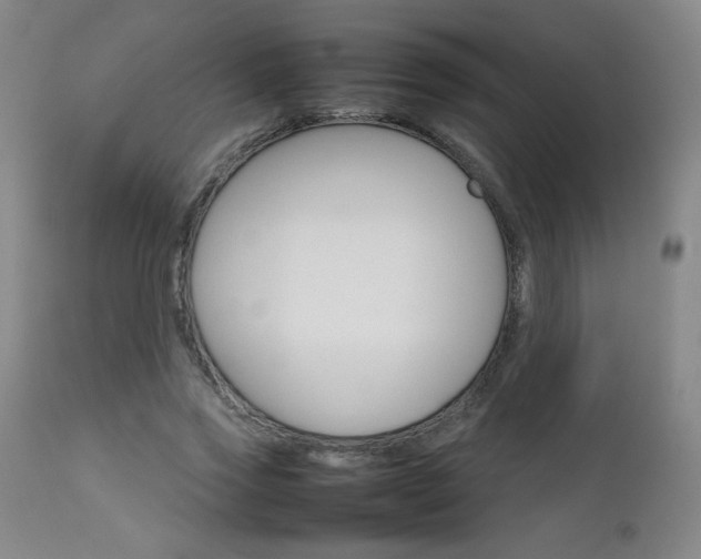 X0000111230733200907021358