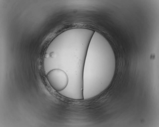 X0000111230734200907021358