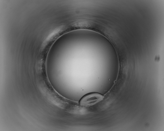 X0000111230735200907021358