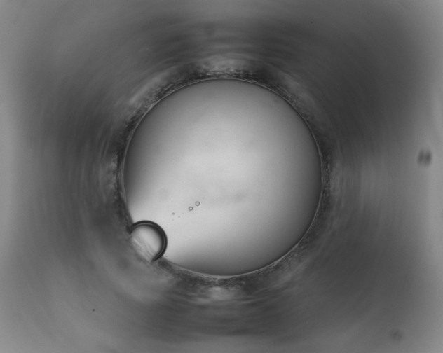 X0000111230737200907021358