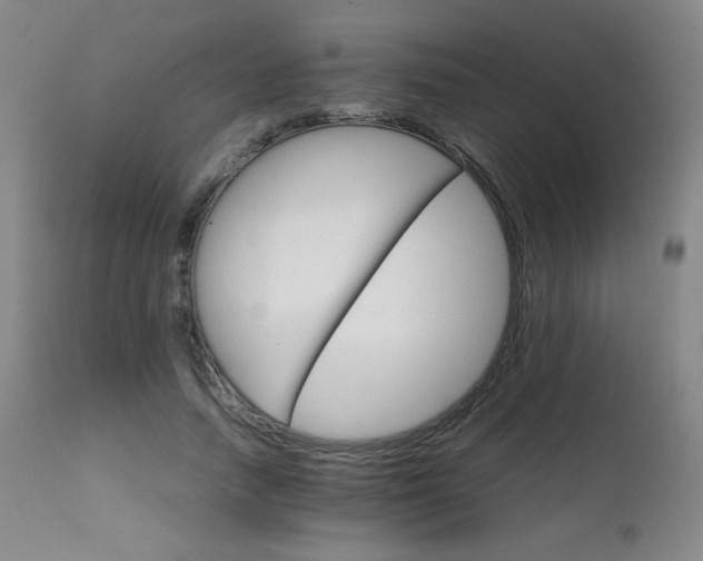 X0000111230738200907021358