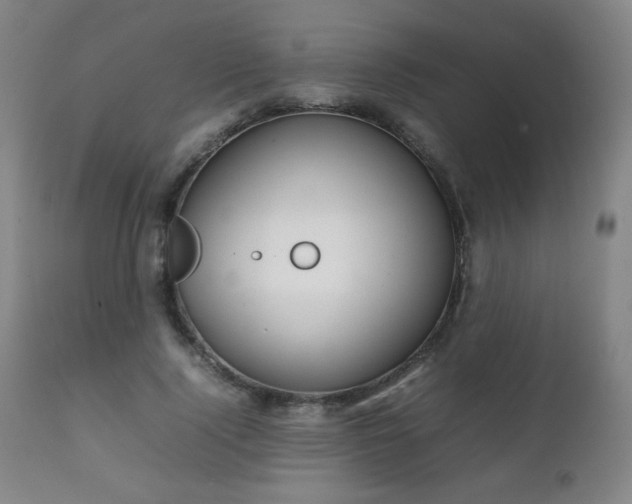 X0000111230740200907021358